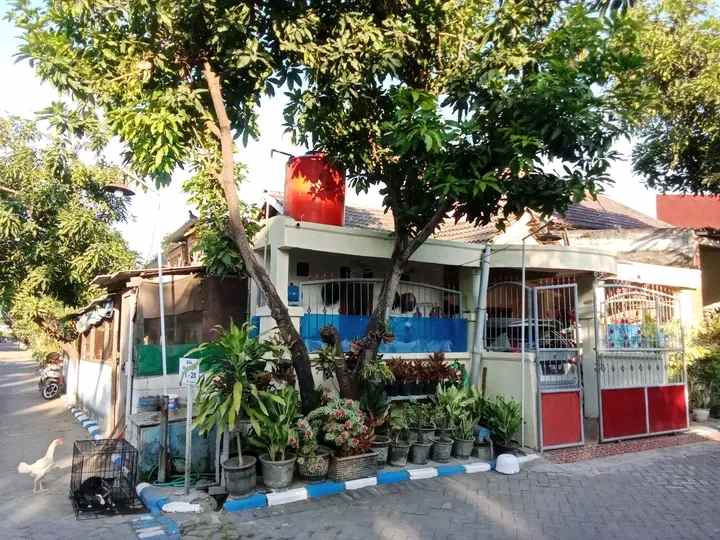 jual rumah pribadi besertifikat trosobo