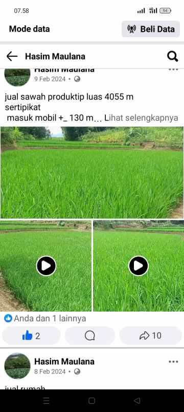 jual sawah dan kebun