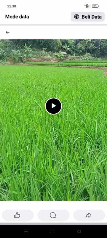 jual sawah dan kebun