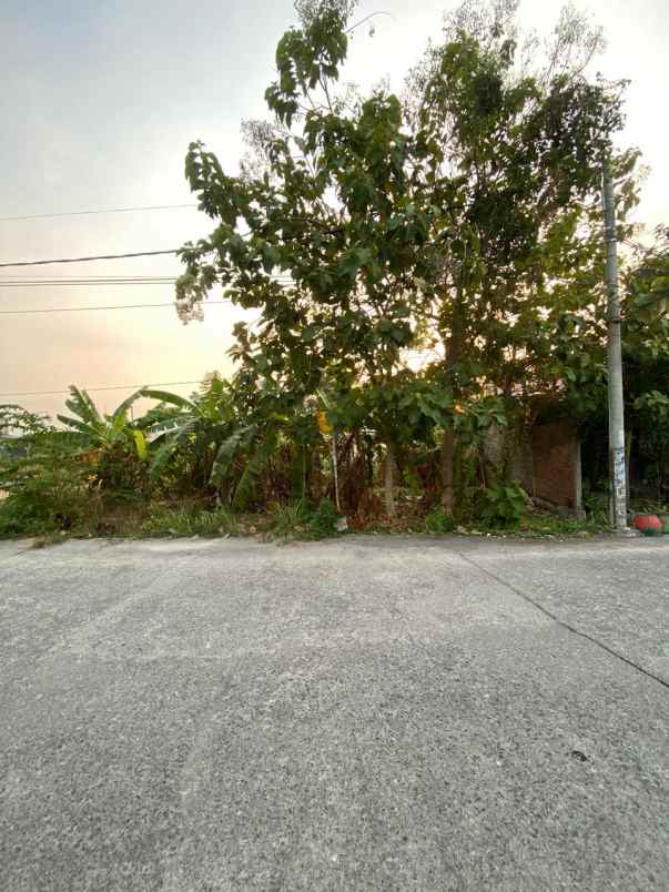 jual tanah cerme gresik