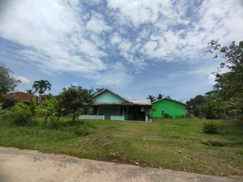 jual tanah dan rumah di talang betutu