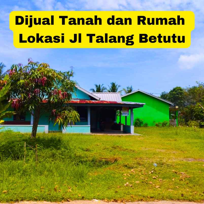 jual tanah dan rumah di talang betutu