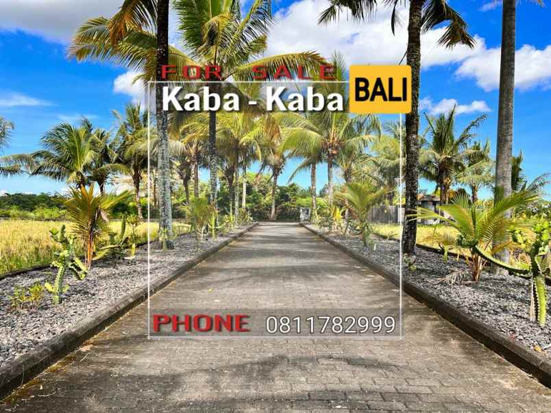 jual tanah lingkungan villa di nyambu kaba kaba