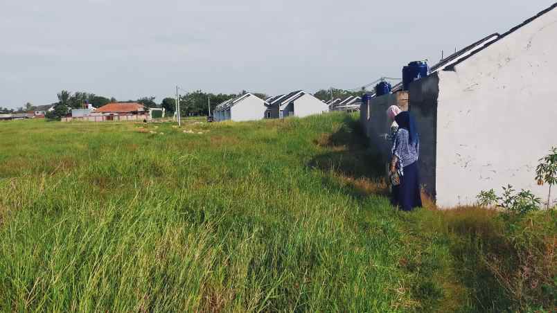 jual tanah sebelah perumahan d green benda balaraja