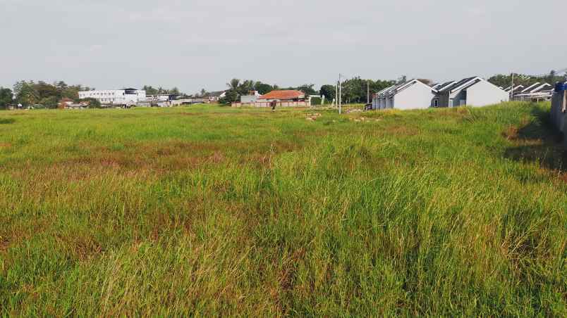 jual tanah sebelah perumahan d green benda balaraja