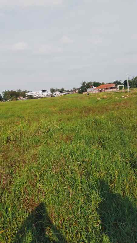 jual tanah sebelah perumahan d green benda balaraja