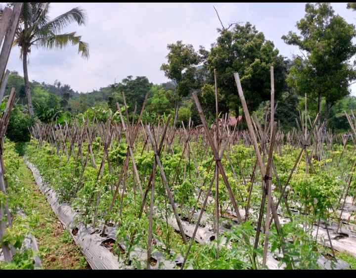 lahan untuk rumah vila ciater subang jawa barat