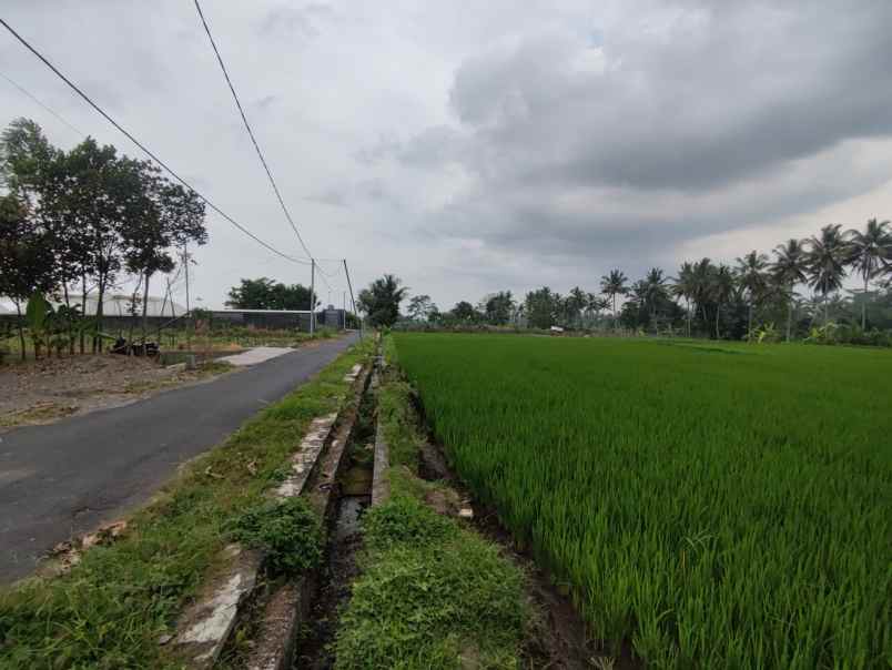 luas 1418 m dekat kopi klotok