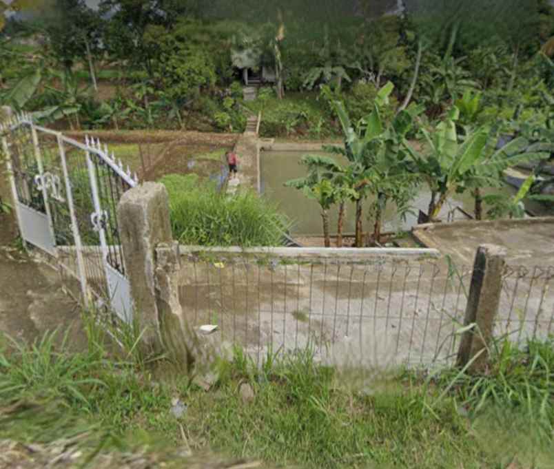 rumah farm penginapan 1 2 hektar