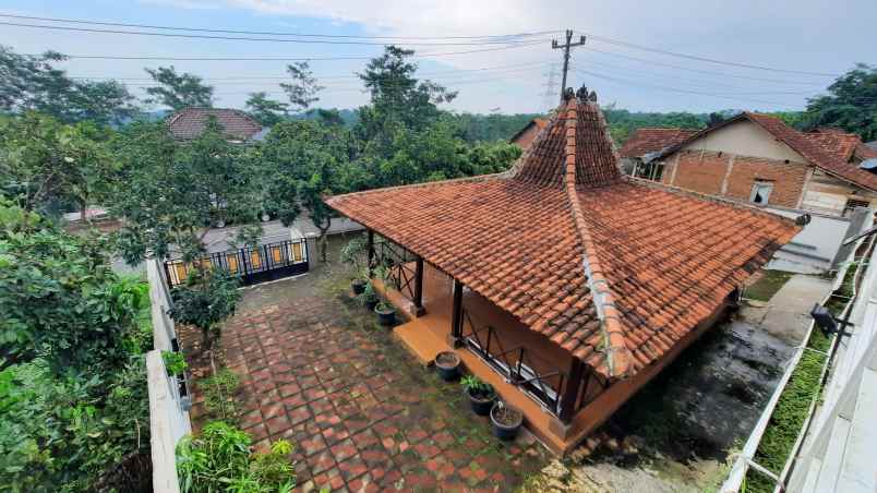 rumah joglo jawa di wonotunggal batang