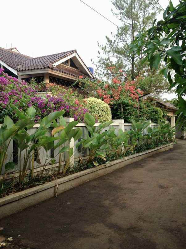 rumah mewah private pool po dok cabe