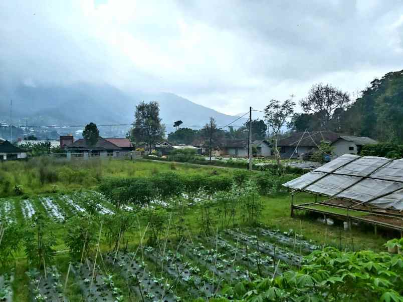 rumah villa lembang aktif income sejuk bandung utara
