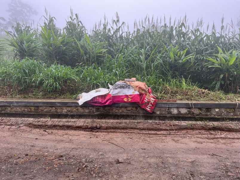 tanah 1 hektar kawasan wisata kemuning karanganyar