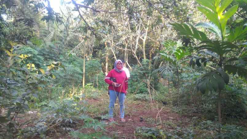 tanah 2000 m pinggir jalan di banjaragung kota serang