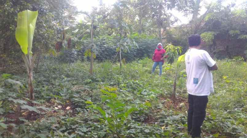 tanah 2000 m pinggir jalan di banjaragung kota serang