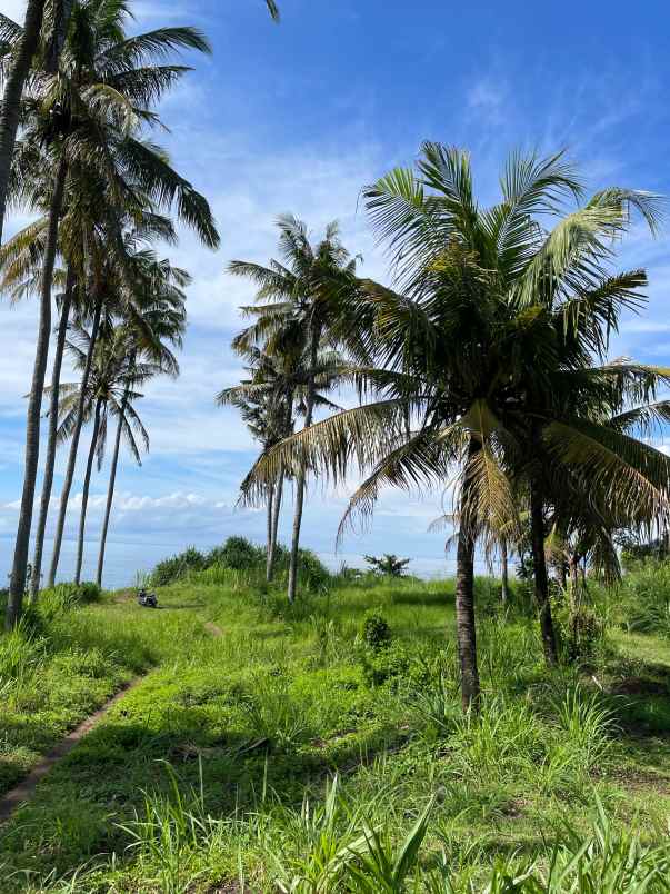 tanah beach front seraya karangasem bali