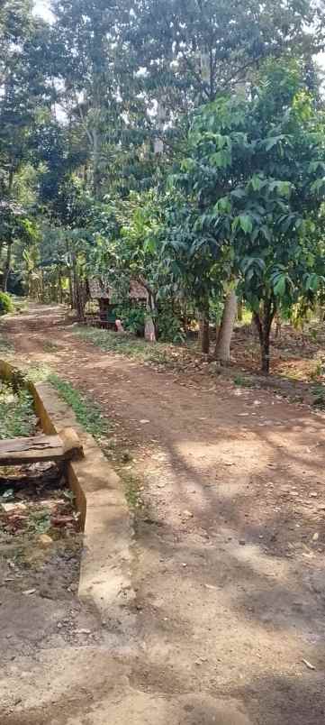 tanah ciamik posisi hook shm ready sekitar unnes