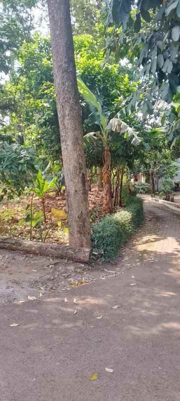 tanah ciamik posisi hook shm ready sekitar unnes