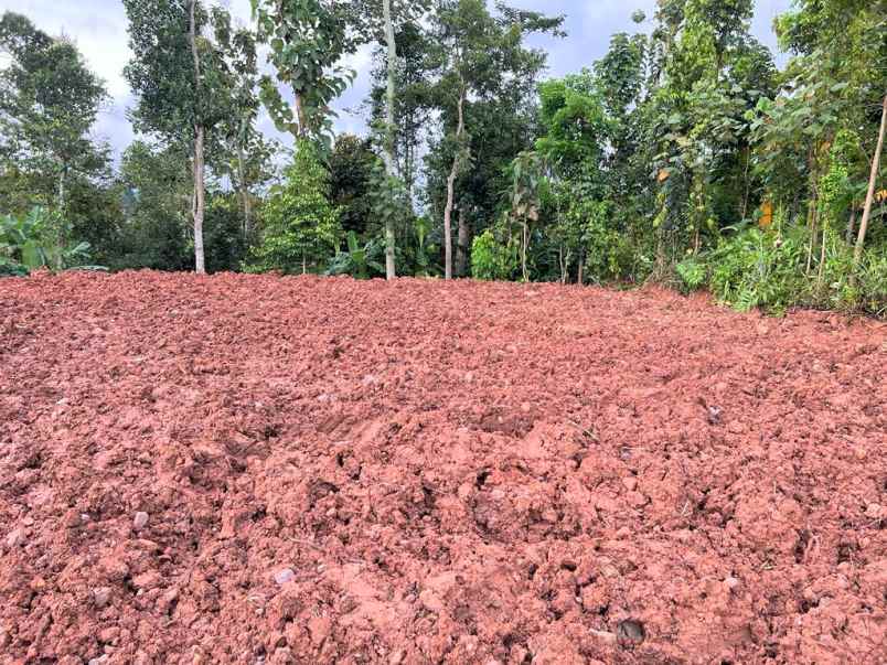 tanah datar 1520m dekat pasar mojogedang karanganyar