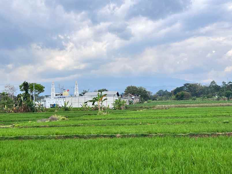 tanah datar view gunung lawu kerjo karanganyar