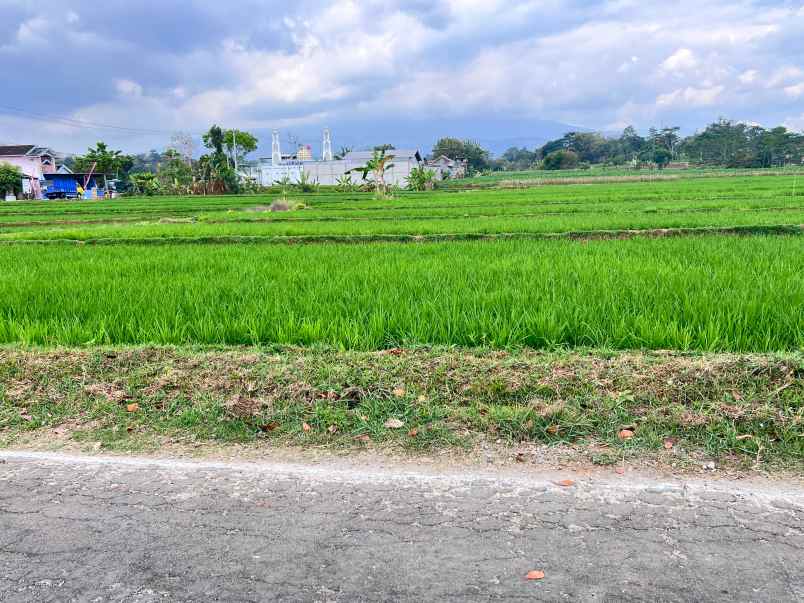 tanah datar view gunung lawu kerjo karanganyar