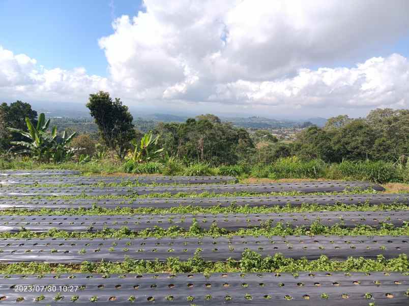 tanah di bedugul bali view gunung dan laut