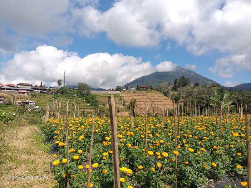 tanah di bedugul bali view gunung dan laut