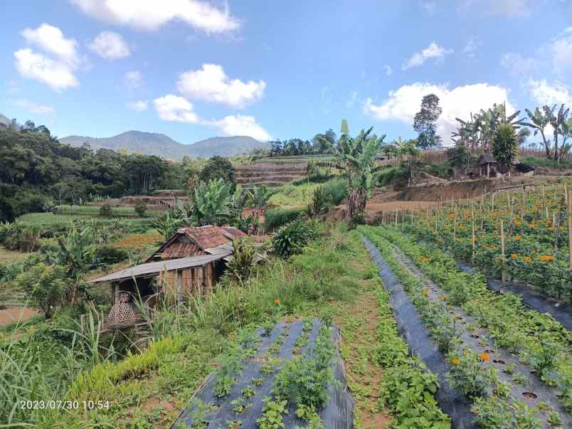 tanah di bedugul bali view gunung dan laut