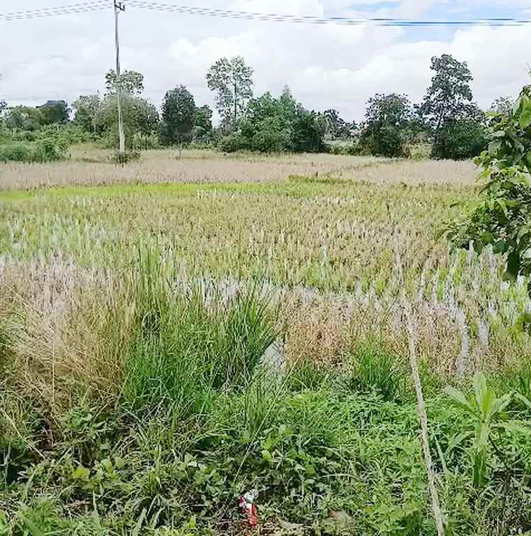 tanah dijual di banjar kalimantan selatan