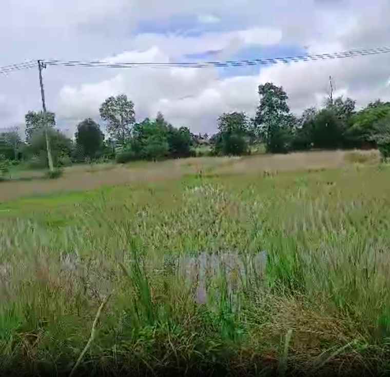tanah dijual di banjar kalimantan selatan