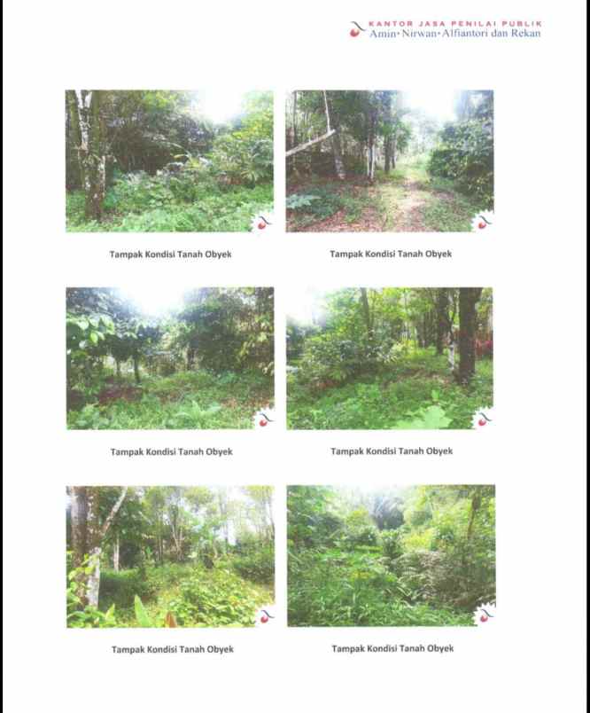 tanah dijual di cicadas subang jawa barat