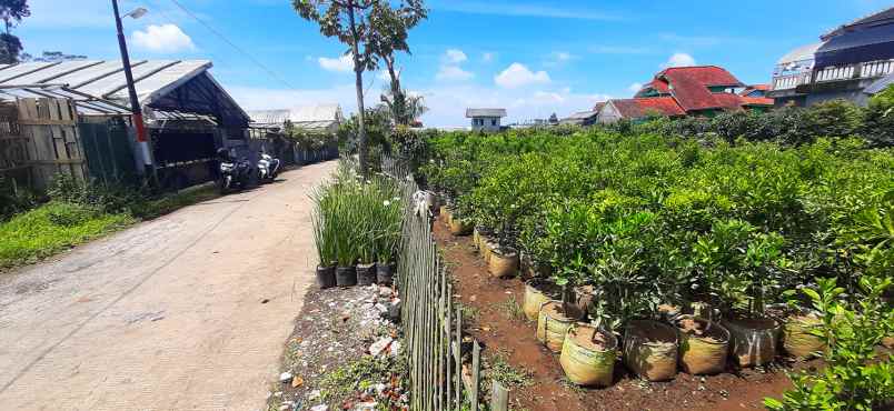 tanah kavling strawberry sayap sersan bajuri bandung