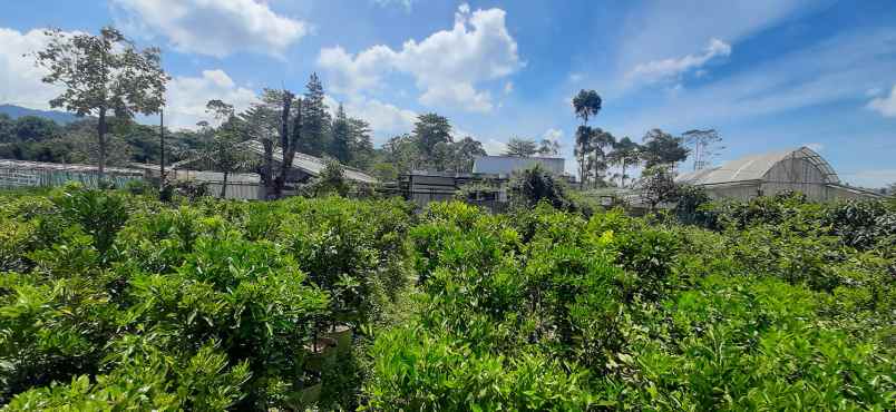 tanah kavling strawberry sayap sersan bajuri bandung