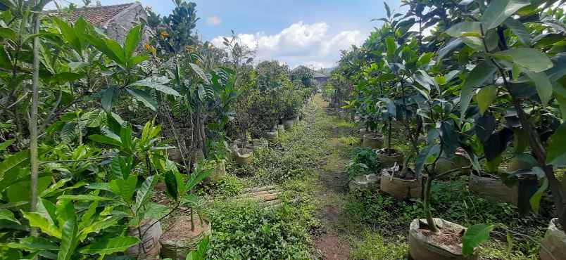 tanah kavling strawberry sayap sersan bajuri bandung