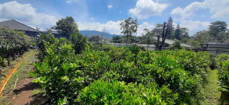 tanah kavling strawberry sayap sersan bajuri bandung