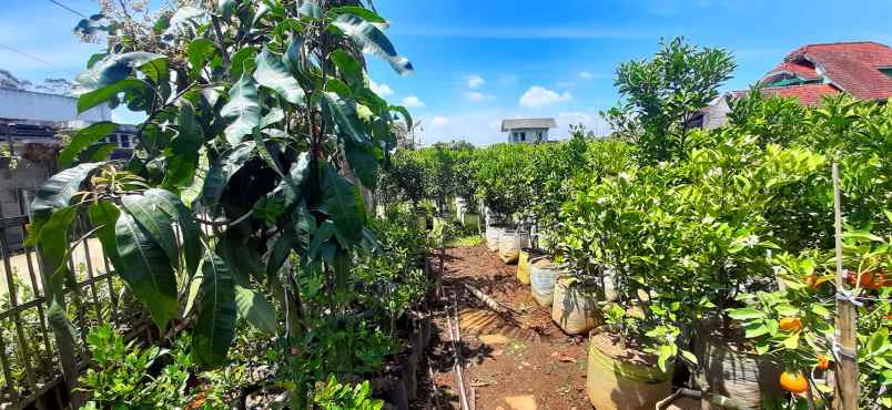 tanah kavling strawberry sayap sersan bajuri bandung