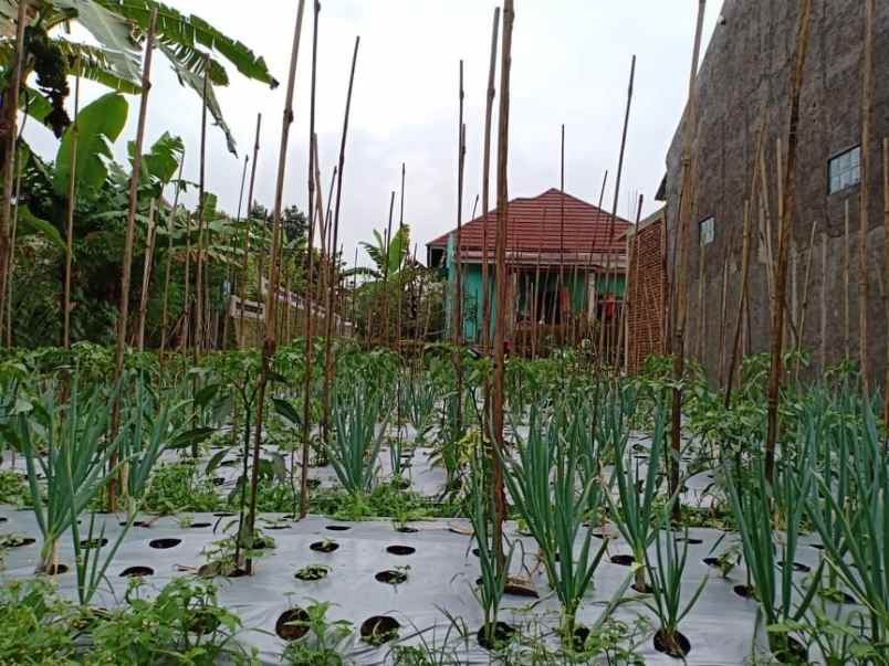 tanah kawasan wisata alam