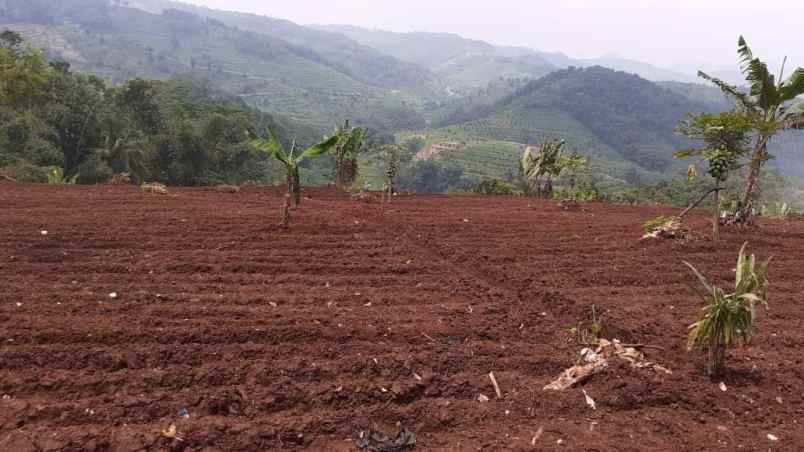 tanah kebun di cikalongkulon mekargalih cianjur