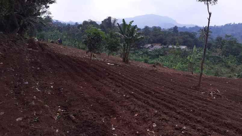 tanah kebun di cikalongkulon mekargalih cianjur