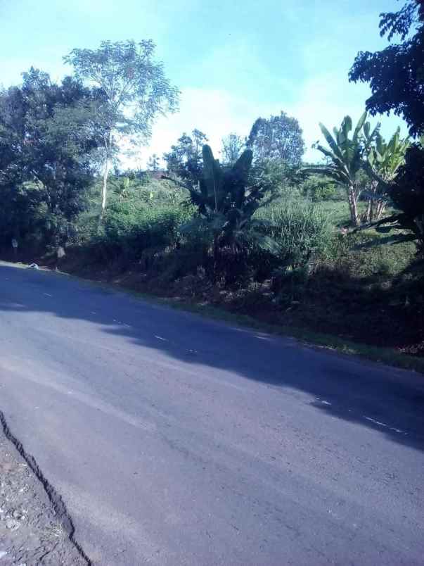 tanah kebun di cikalongkulon mekargalih cianjur