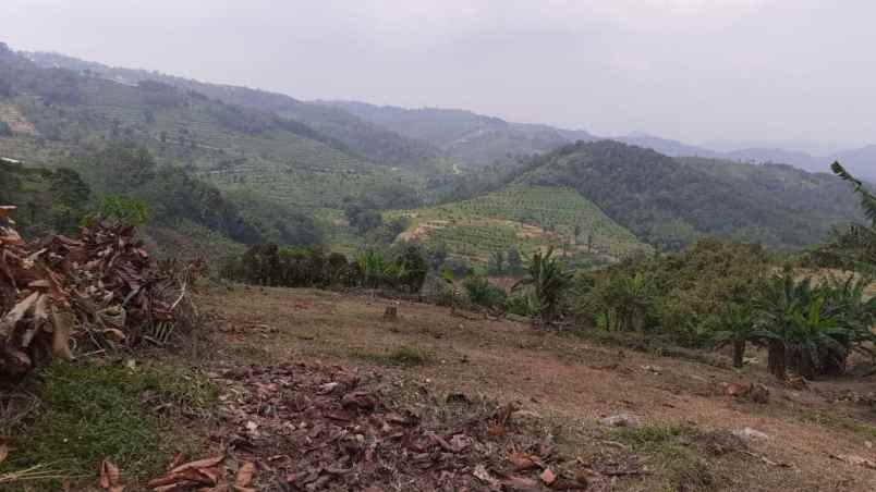 tanah kebun di cikalongkulon mekargalih cianjur