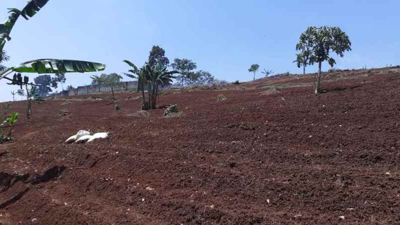 tanah kebun di cikalongkulon mekargalih cianjur