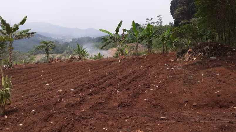 tanah kebun di cikalongkulon mekargalih cianjur