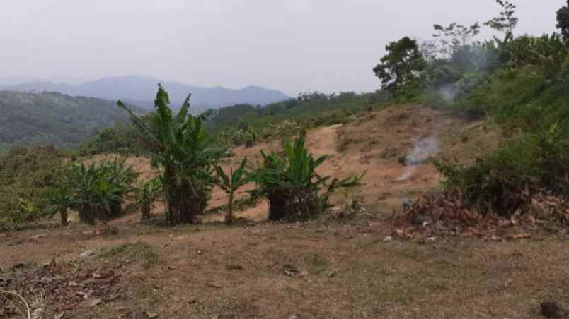 tanah kebun di cikalongkulon mekargalih cianjur