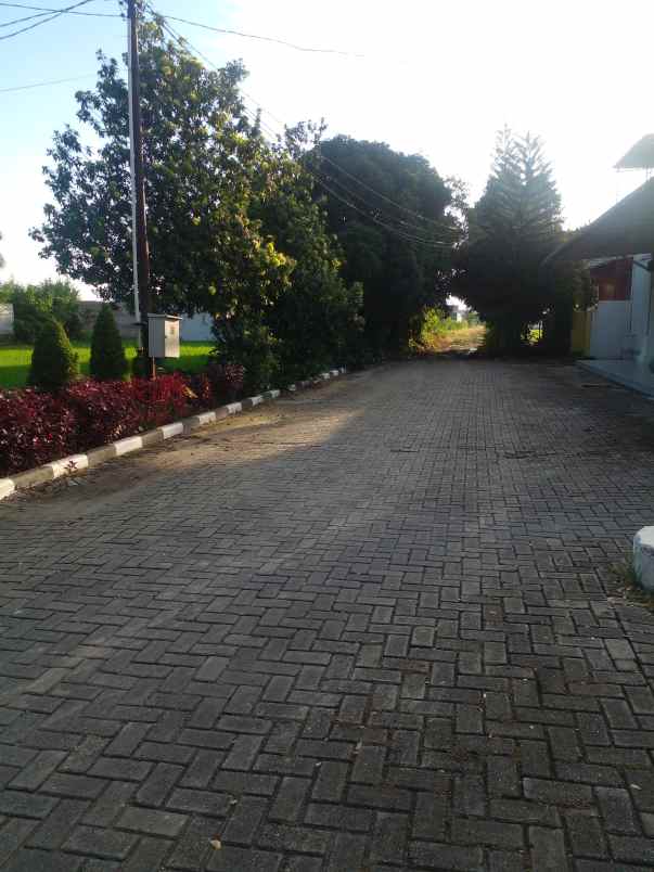 tanah kosong dijual daerah helvetia