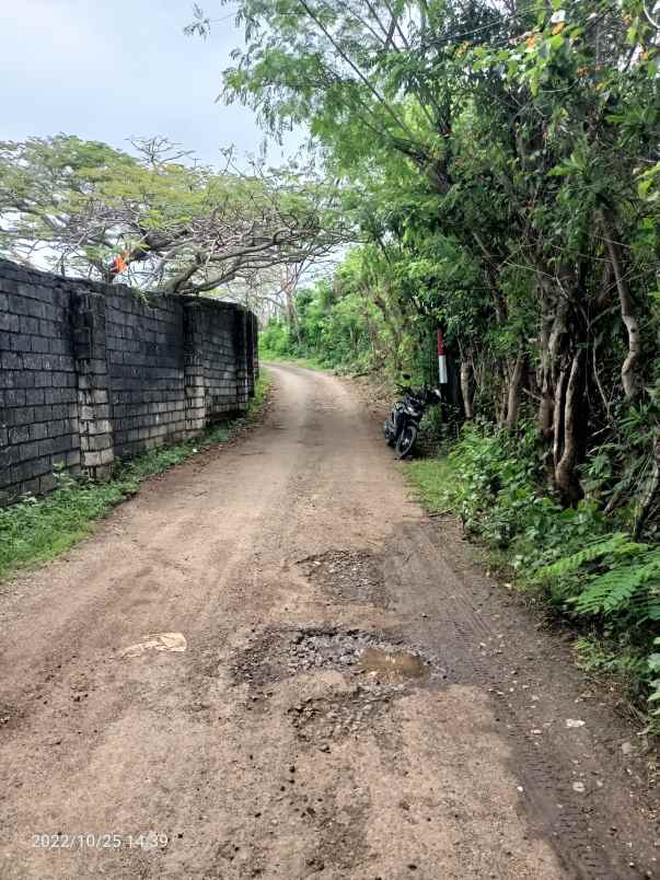 tanah kutuh badung bali