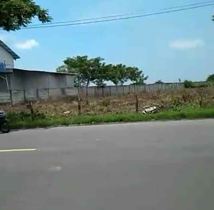 tanah lokasi teluk golf citraland surabaya barat