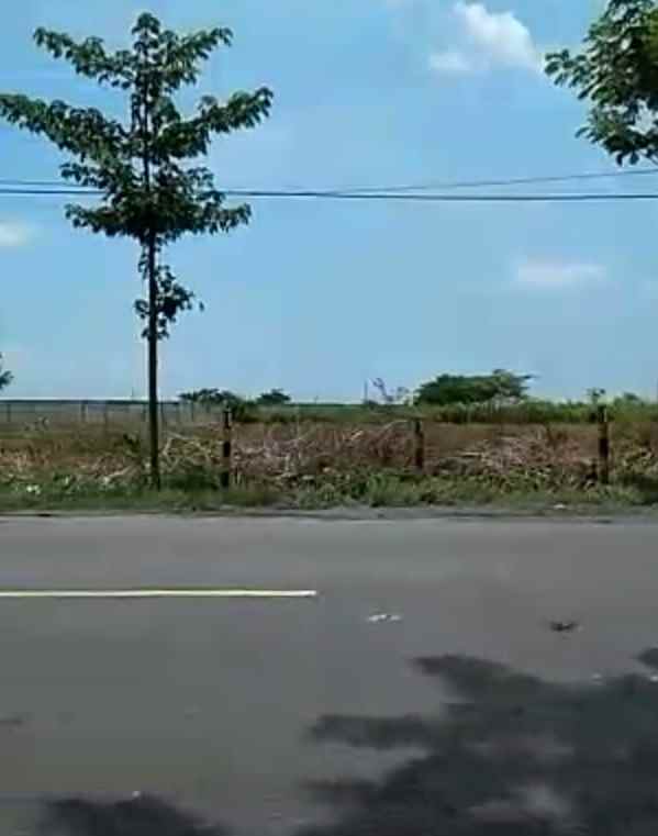 tanah lokasi teluk golf citraland surabaya barat