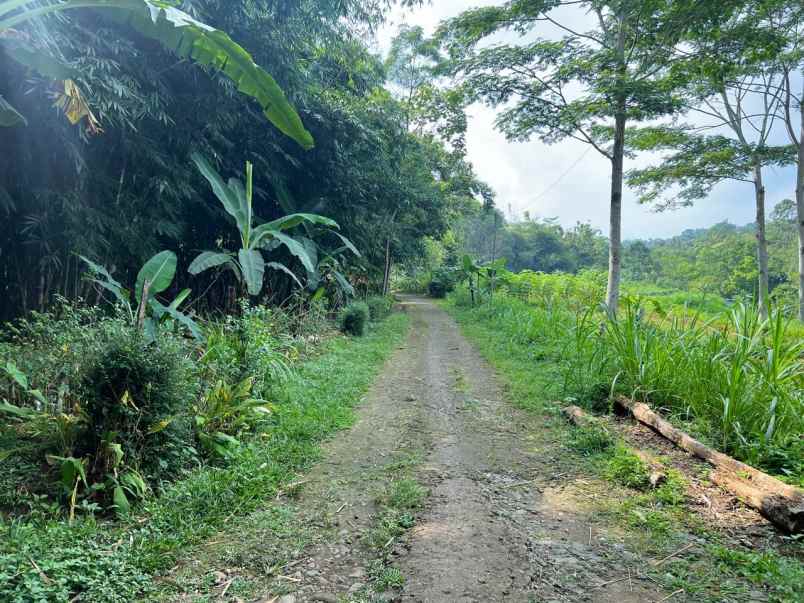 tanah murah 80 juta karangpandan karanganyar