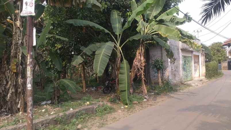 tanah murah di ciseeng parung bogor